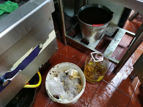 上海餐飲復工后廚房衛生堪憂 積壓庫存觸目驚心，記者現場調查揭露亂象